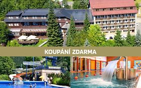 Hotel Sepetna